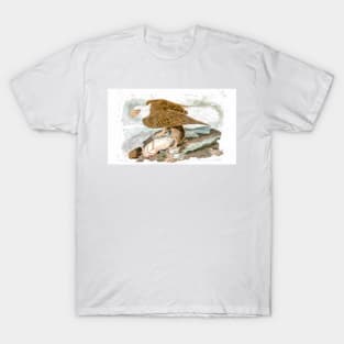 John Audubon Reimagined - Bald Eagle T-Shirt